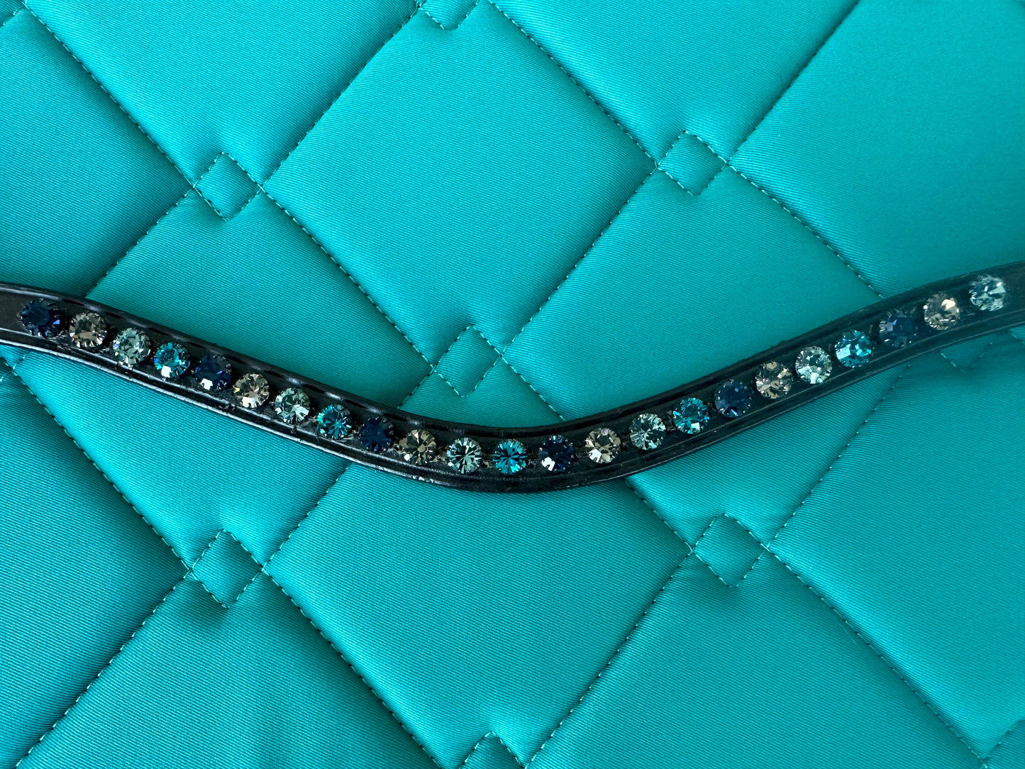 PreciosA browband Petrol