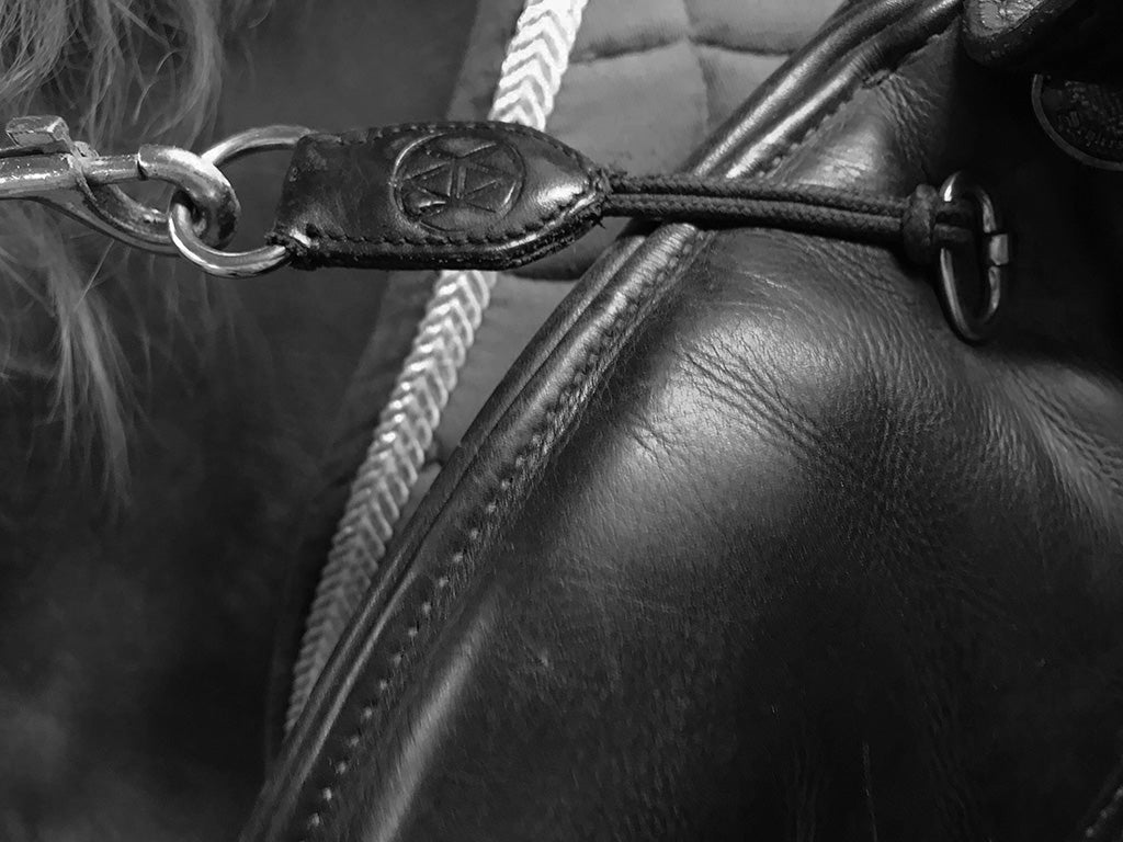 XtendA d-ring savers