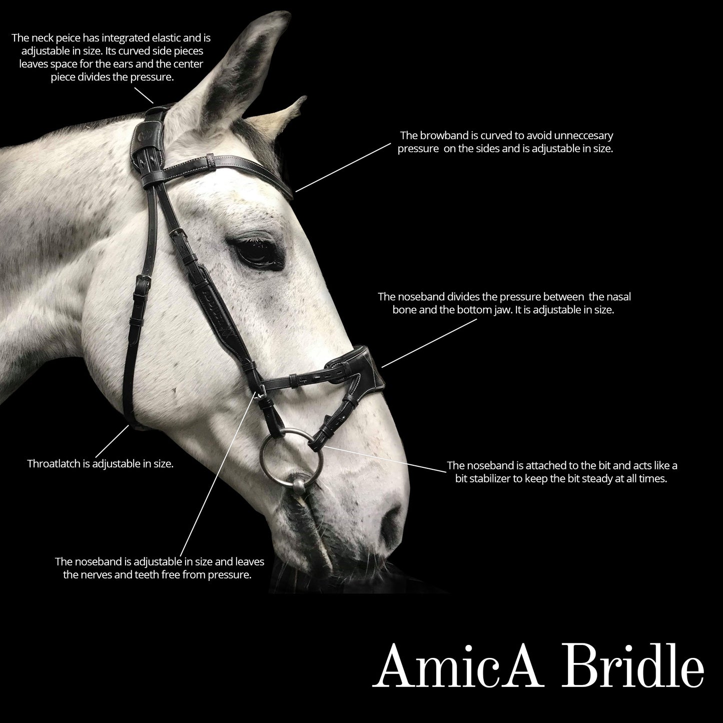 AmicA Bridle