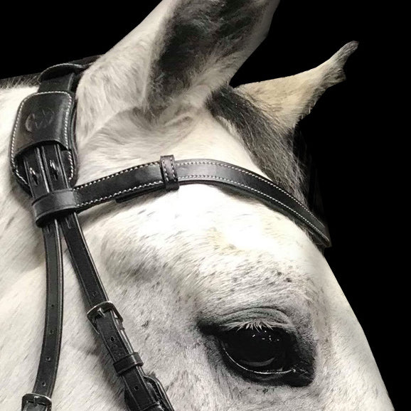 AmicA browband
