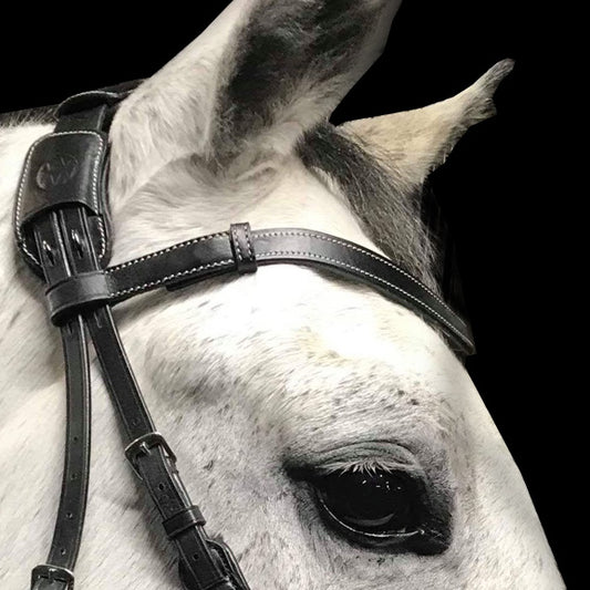 AmicA browband