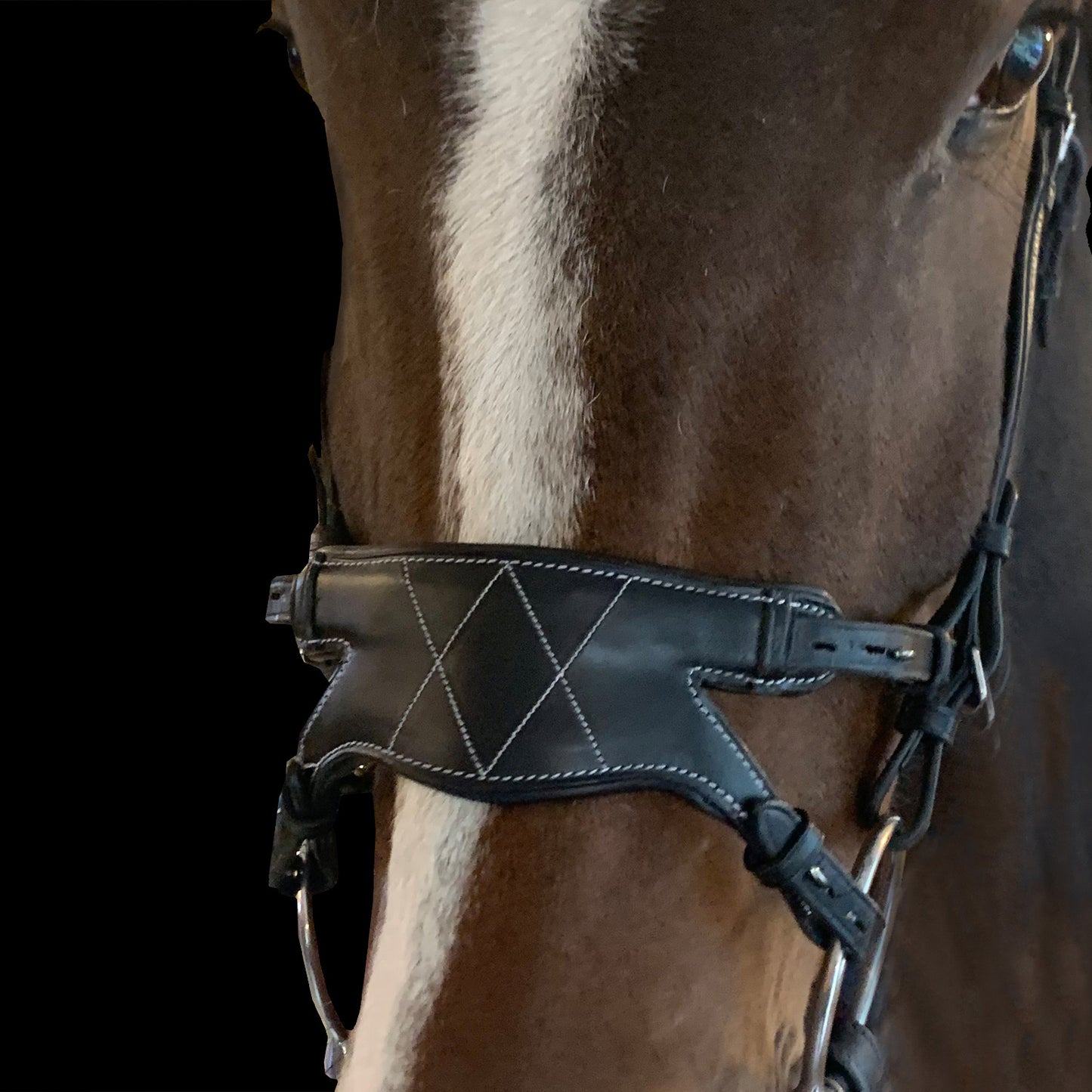 AmicA Bridle