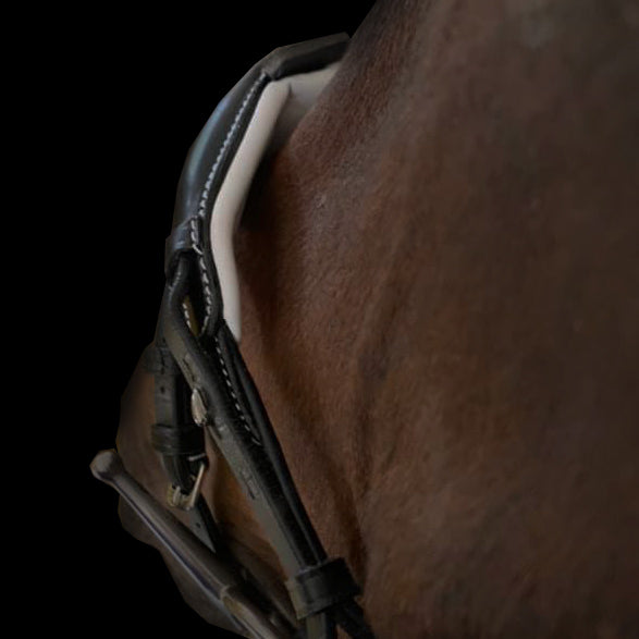 PrimA noseband