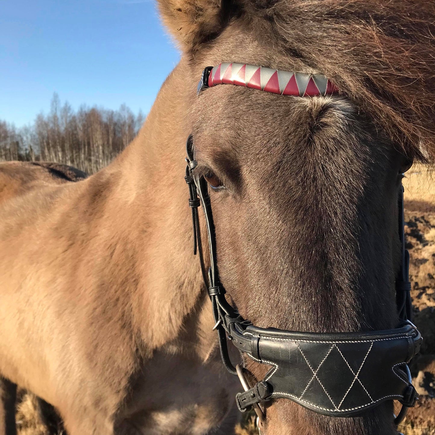 AmicA Retro Pannband