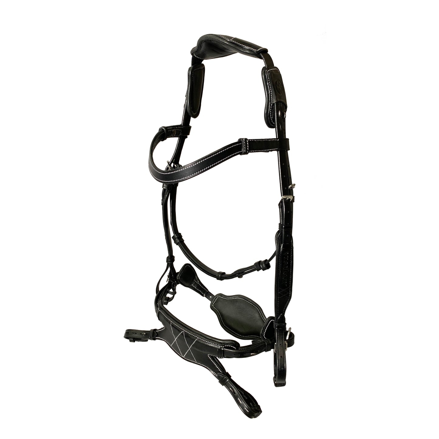 AmicA Bridle