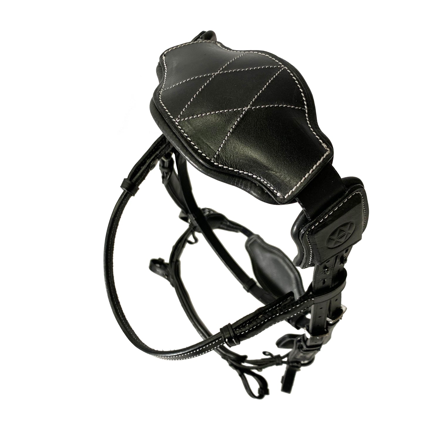 AmicA Bridle