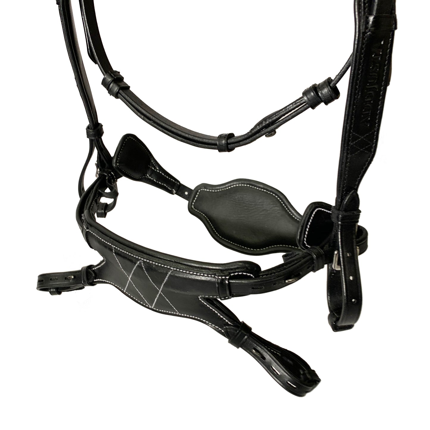 AmicA Bridle