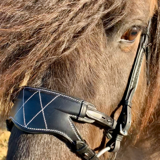 XtrA noseband