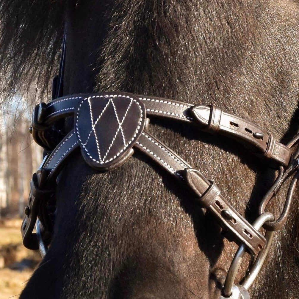 AmigA noseband