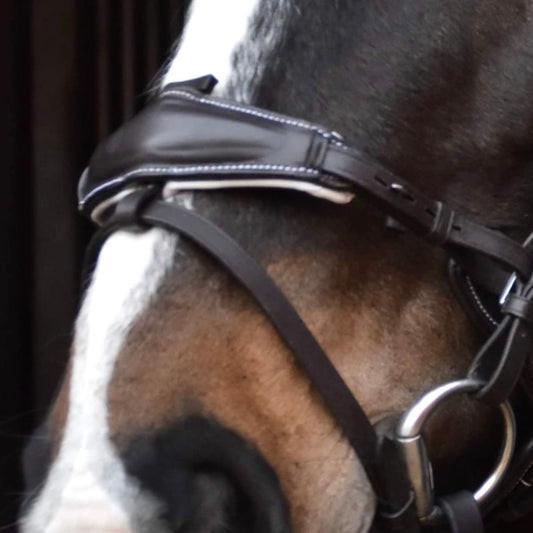 PrimA noseband