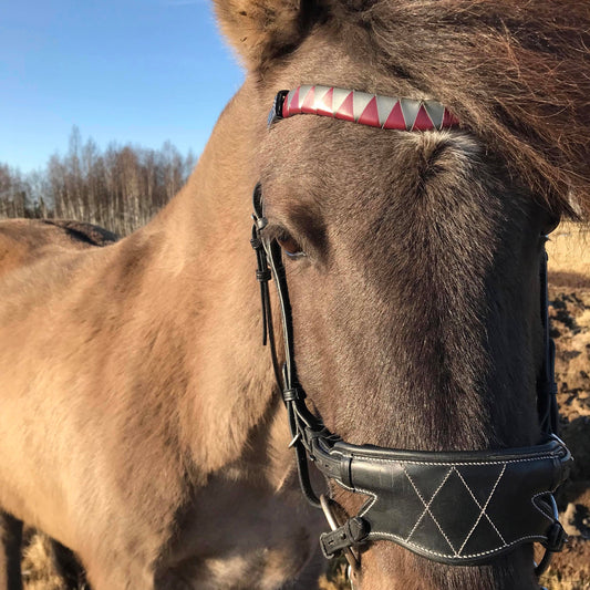 AmicA Retro browband